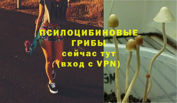 кокс Корсаков