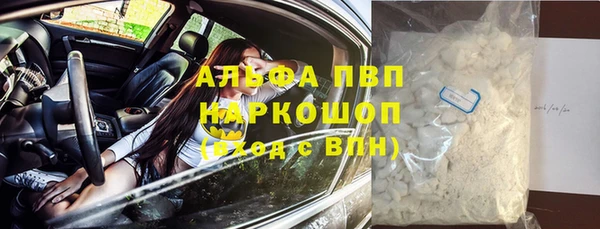 кокс Корсаков